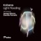 Light Flooding - Kobana lyrics