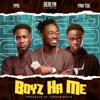 Boys Ha Me Dodo (feat. Ypee & Yaw Tog) - Single