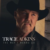 Trace Adkins - Love Walks Through the Rain (feat. Melissa Etheridge)