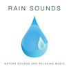 Sleep Songs 101 - Relaxing Music for the Night