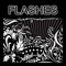 Flashes - TNC lyrics