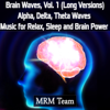 Brain Waves, Vol. 1: Alpha, Delta, Theta Waves Music for Relax, Sleep and Brain Power (Long Versions) - Mrm Team