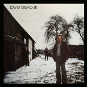 David Gilmour - Cry from the Street