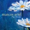 Calla Lily - Marcos Ariel lyrics