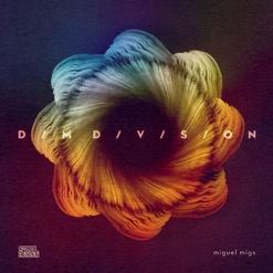 DIM DIVISION cover art