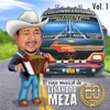 El Viaje Musical de Lisandro Meza, 60 Años, Vol. 1