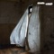 death row (post pardon) - MXMS lyrics