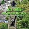 Empire (feat. Christopher Capiche Robbin) - Ali Sheik lyrics