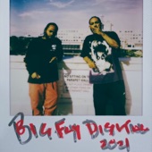 Big Fly Digital - EP artwork
