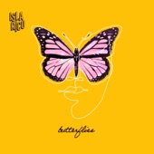 Butterflies artwork