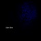 Simulations - Dyler Silver lyrics