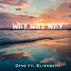 Why Why Why (feat. Elisabeth) - Single album lyrics, reviews, download