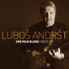 One Man Blues (Best Of)