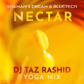 Nectar (DJ Taz Rashid Yoga Mix) artwork