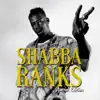 Stream & download Shabba Ranks Special Edition - EP