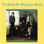 The Nashville Bluegrass Band - Old Devil's Dream