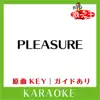 PLEASURE(カラオケ)[原曲歌手:華原朋美] - Single album lyrics, reviews, download