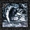 Apeman - Fish lyrics