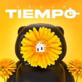 Tiempo artwork