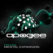 Mental Expansion (Extended Mix) artwork