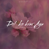 Dil Ko Krar Aya (Lofi - Slowed + Reverb) artwork