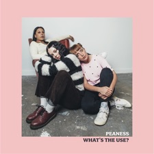 What's The Use artwork