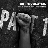 Revolution - Bk's Rework (Reinier Zonneveld Remix) artwork