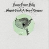 Quail and Dumplings - Single