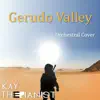 Gerudo Valley (From "Ocarina of Time) [Orchestral Cover] [feat. Andrew Steffen, Marc Papeghin, BiRiO, Percupoulet, Green Noize & SetsunaXXBass] - Single album lyrics, reviews, download