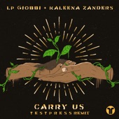 Carry Us (t e s t p r e s s Remix) artwork