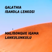 Malibongwe Igama artwork