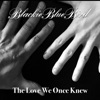 The Love We Once Knew - Single