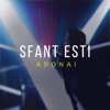 Sfant Esti - Single