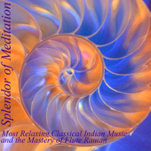 Mohana Kalyani (Meditation On the Breath) [feat. V.K. Raman] - Splendor of Meditation