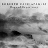 Days of Experience - Single