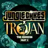Israelites (DJ Kane Remix) - Single album lyrics, reviews, download