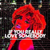 If You Really Love Somebody artwork