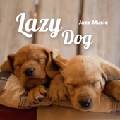 Lazy Dog Jazz Music artwork