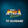 Te Olvidare - Single