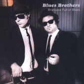 The Blues Brothers - Hey Bartender (Live)