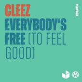 Everybody's Free (To Feel Good) artwork