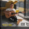 כמה רציתי - Single