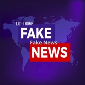 Fake News artwork