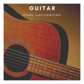 Guitar Study (Instrumentals) artwork