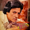 Palito Ortega Cronología - Me Gusta Ser Como Soy (1978), 1978