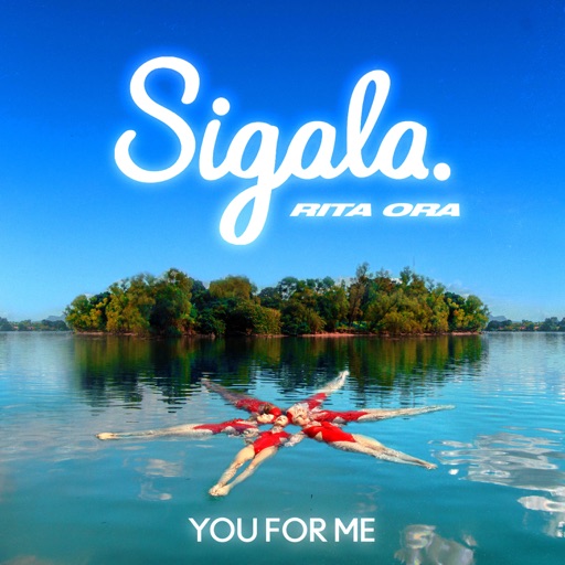 Art for You For Me by Sigala & Rita Ora