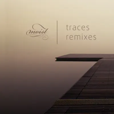 Traces Remixes - EP - Moist Traces Remixes - EP - Moist