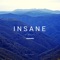 Insane - DJ Daniel lyrics
