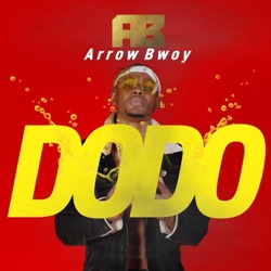 Arrow Bwoy - Dodo