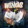 Wings - LIL NATTY & THUNDA